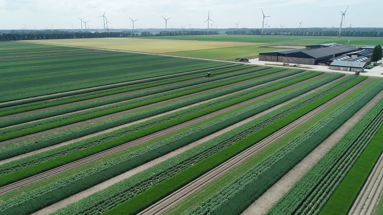 Netherlands agricultural program